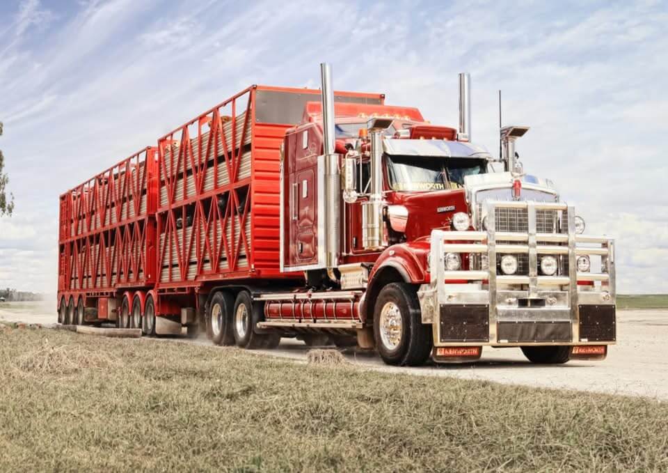Livestock road train kept on the road and earning